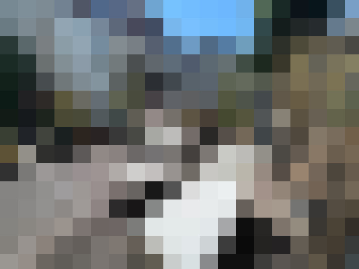 Image 33