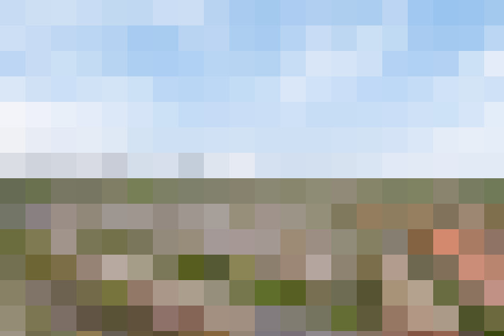 Image 24