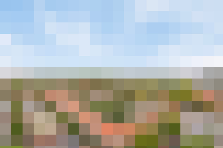 Image 23