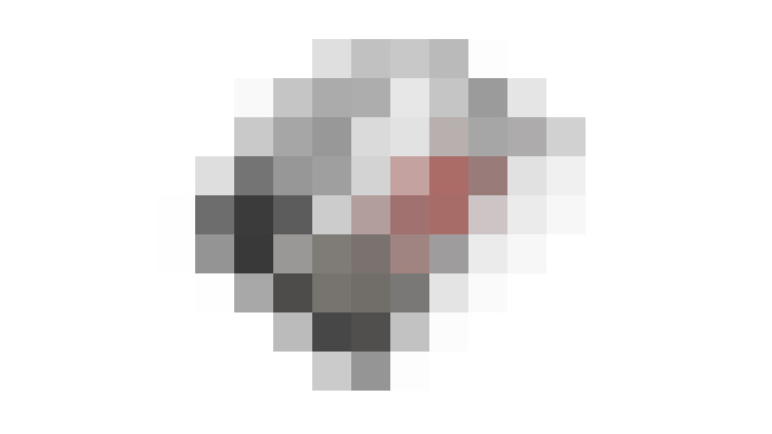Image 29