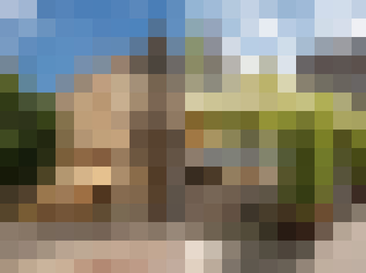 Image 21