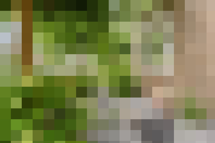 Image 13