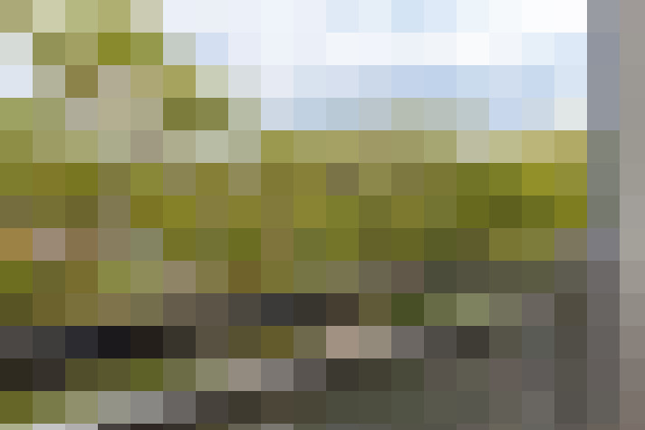 Image 23