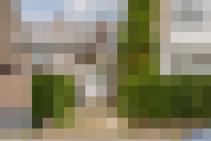 Image 36