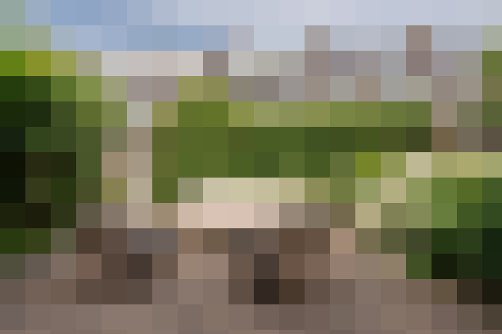 Image 17