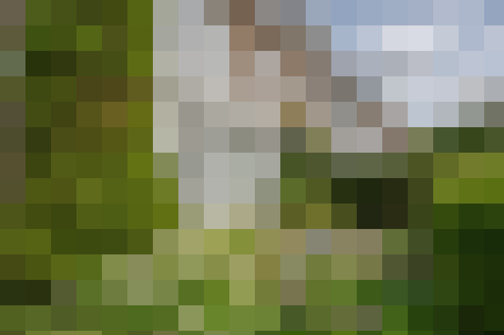 Image 37