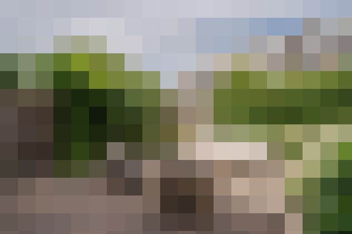 Image 16