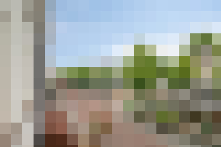 Image 20