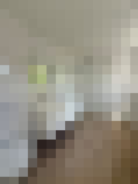 Image 23
