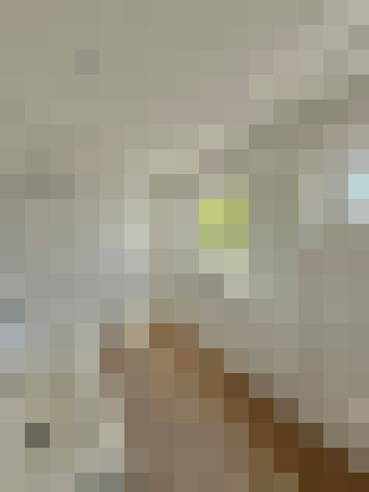 Image 26