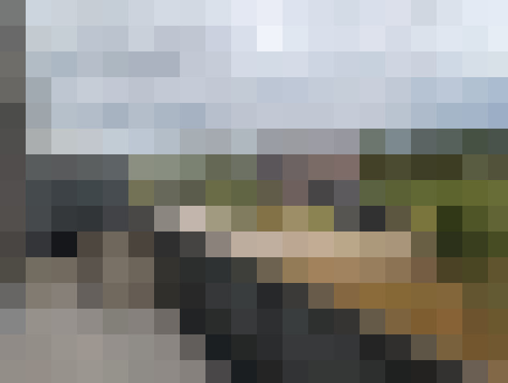 Image 21