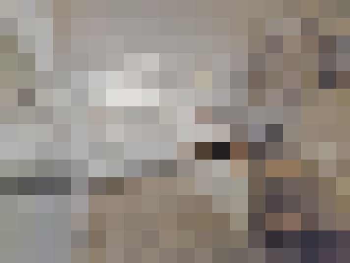 Image 57