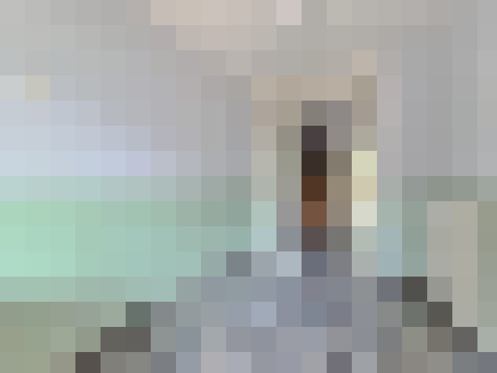 Image 55