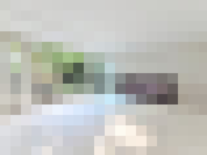 Image 40