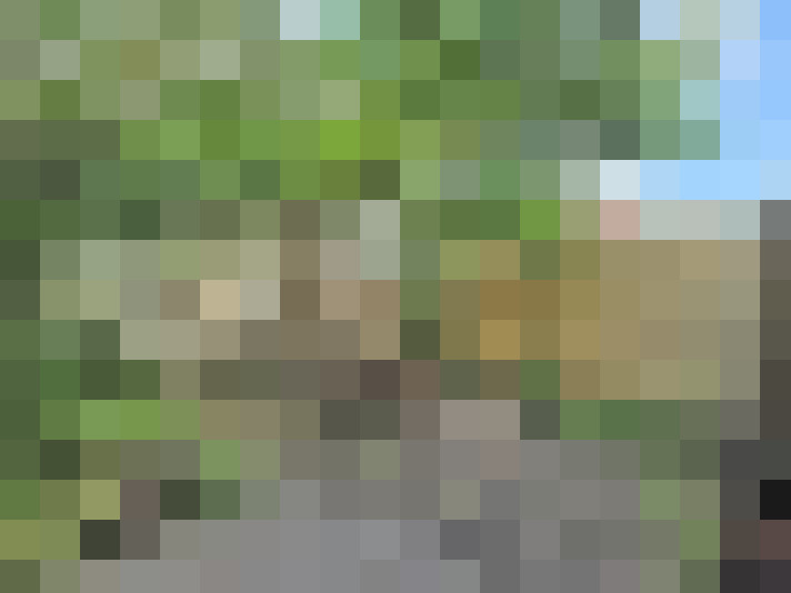 Image 47