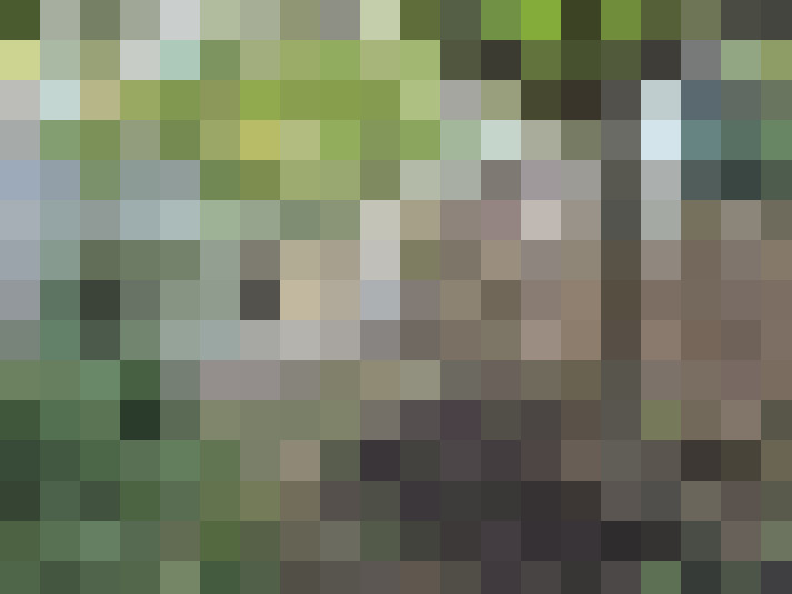 Image 48