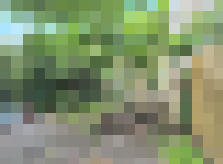 Image 46