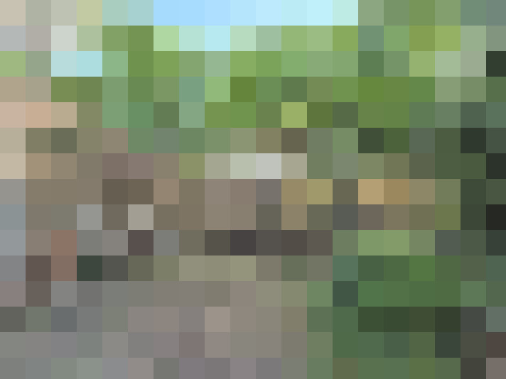 Image 44