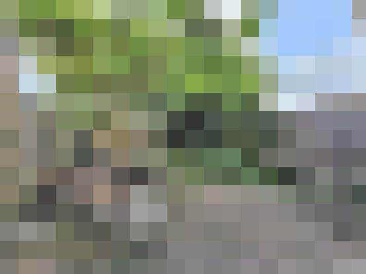 Image 43