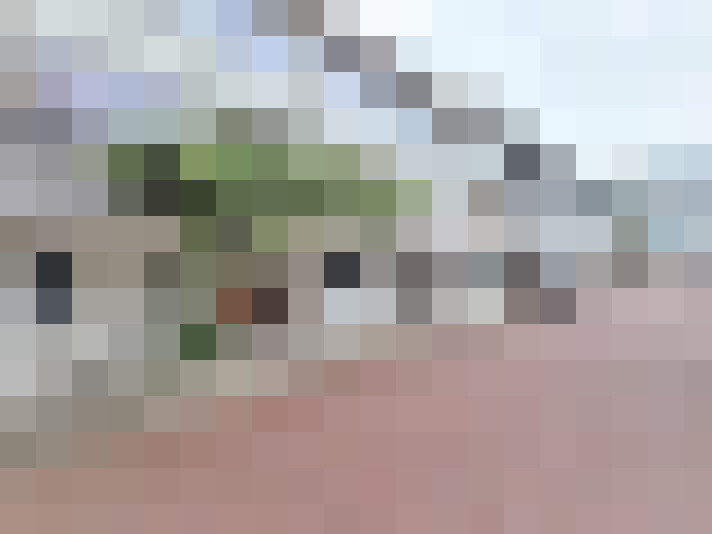Image 66