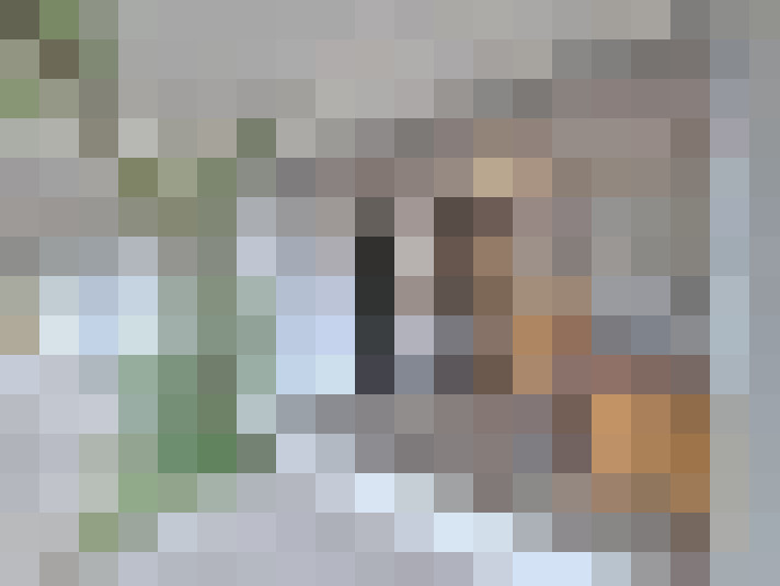 Image 63