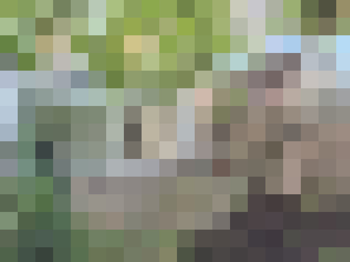 Image 49