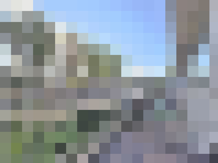 Image 23