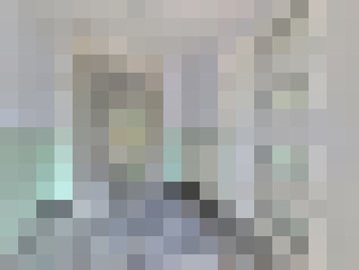 Image 65