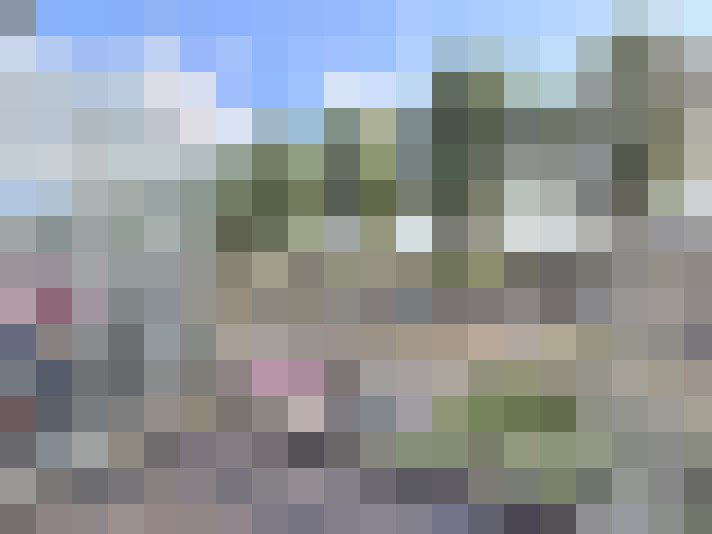 Image 22