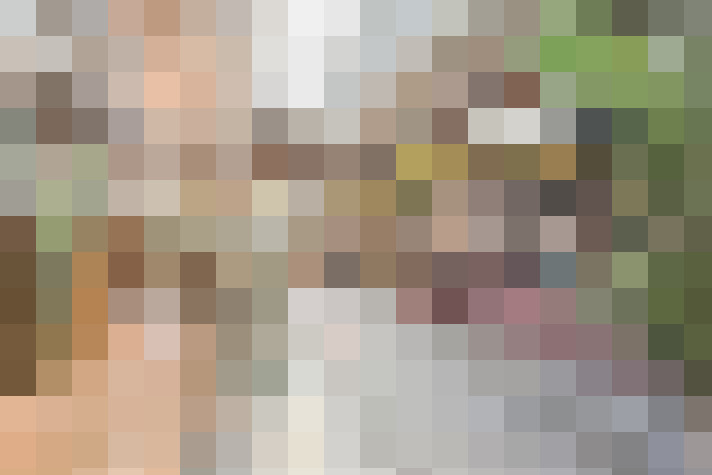 Image 30
