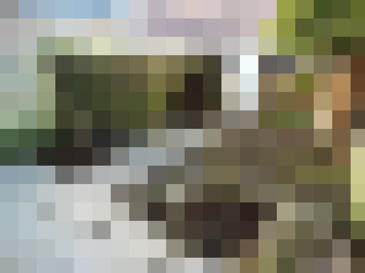 Image 18