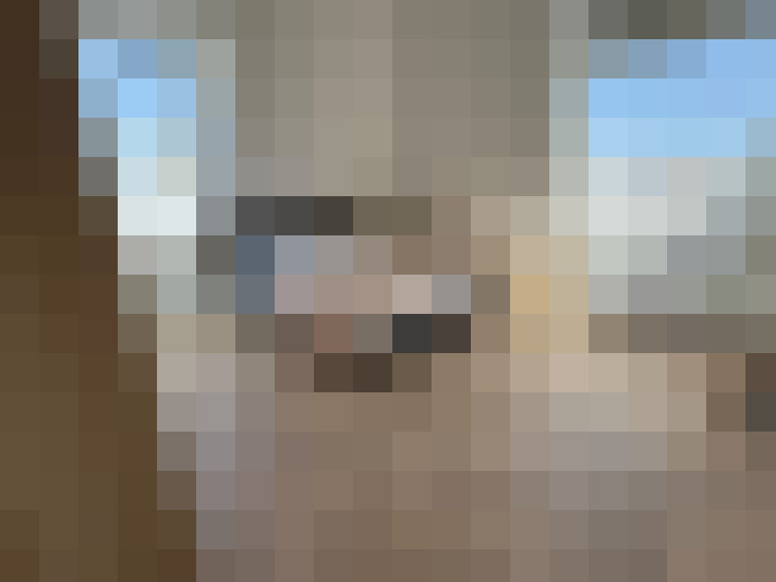 Image 22