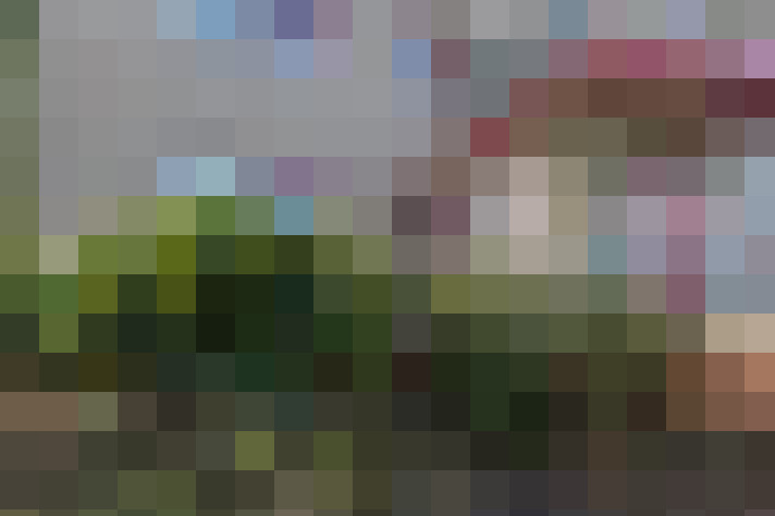 Image 27