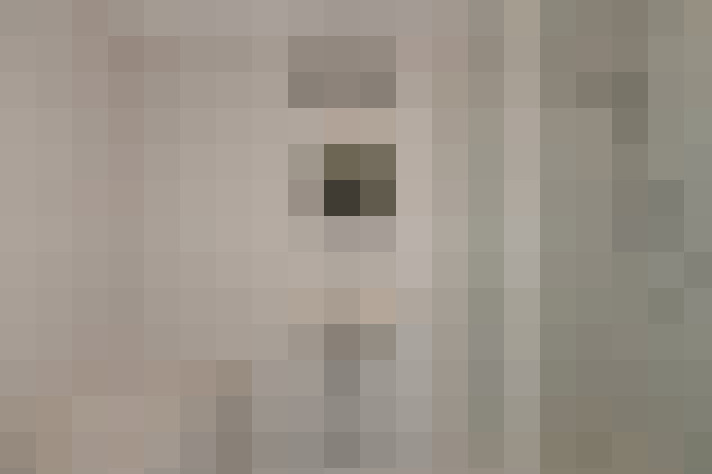 Image 23