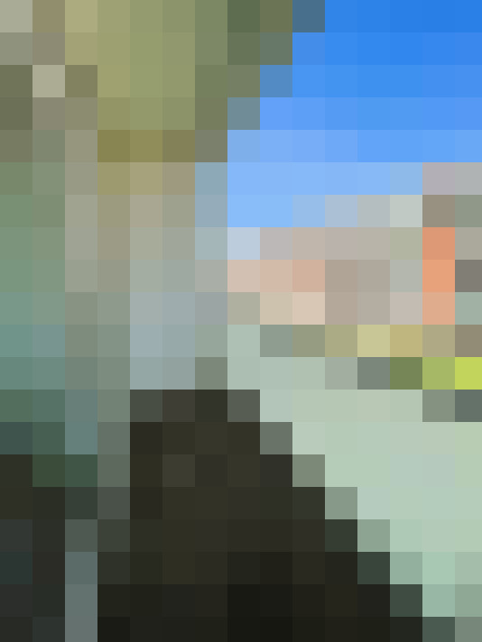 Image 21