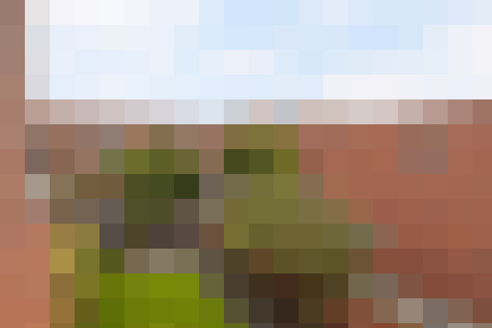 Image 27