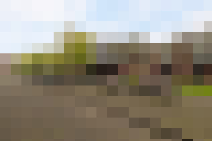Image 23