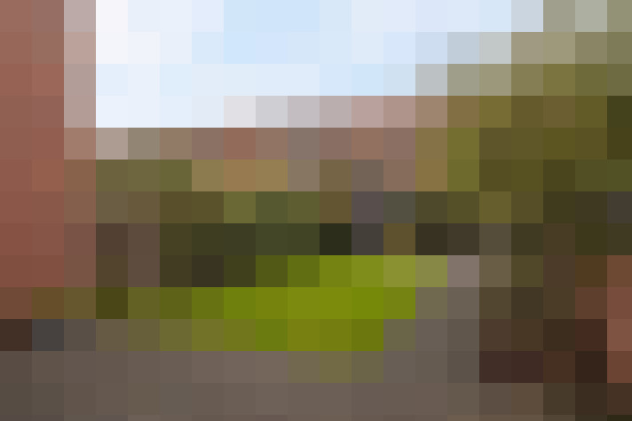 Image 31