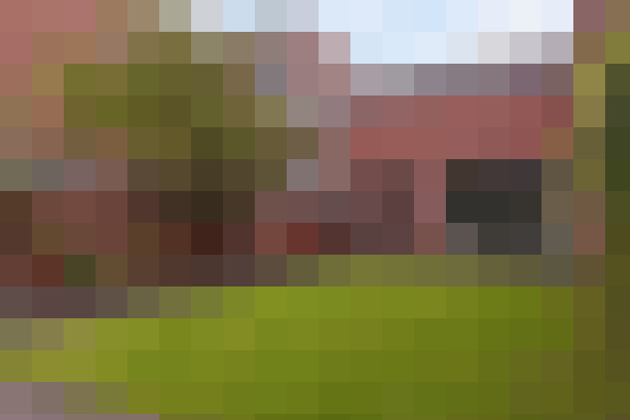 Image 29