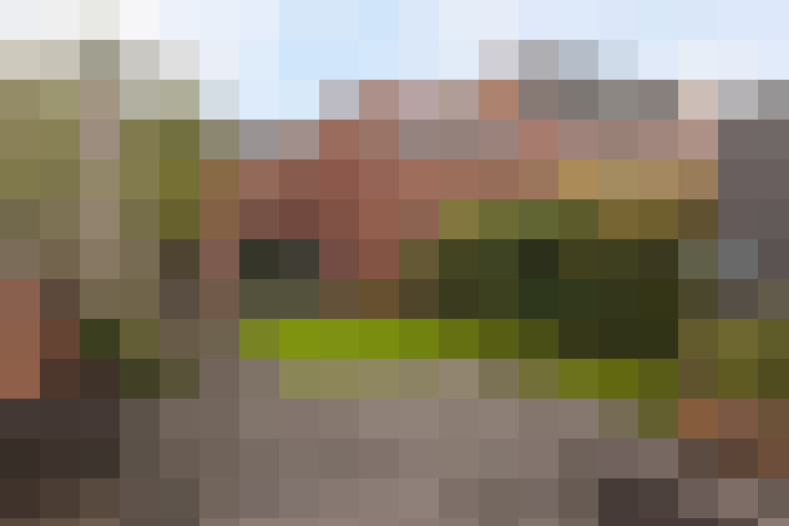 Image 28