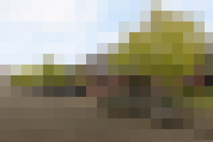 Image 24
