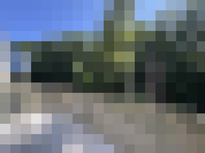 Image 21