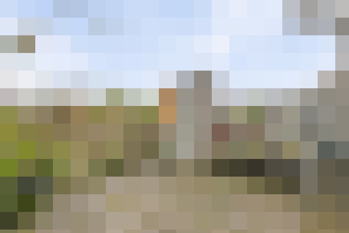 Image 13
