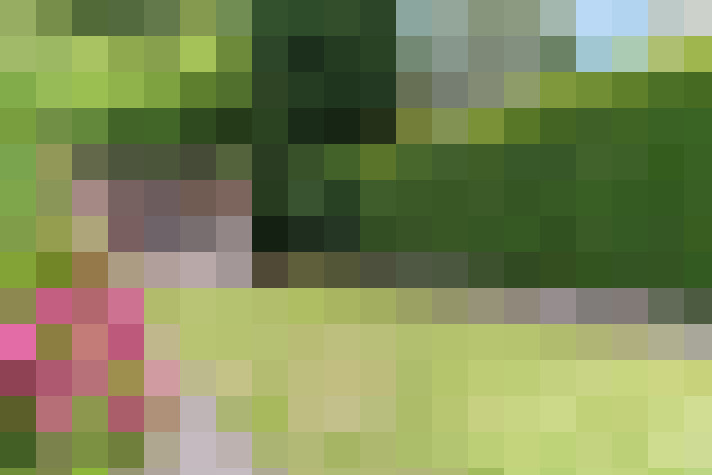 Image 17