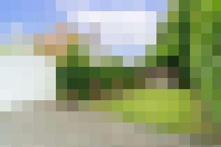 Image 16