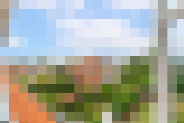 Image 31