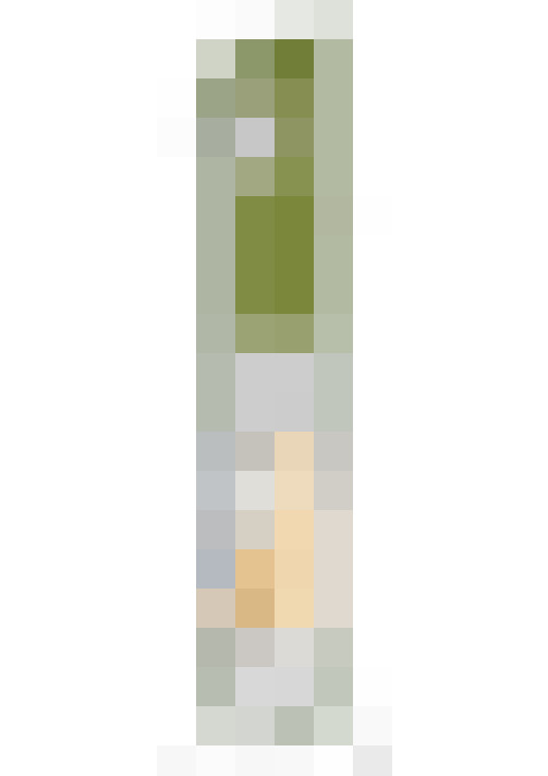 Image 41