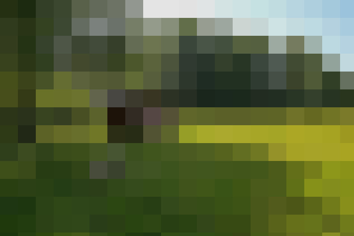 Image 29