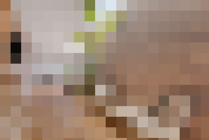 Image 39