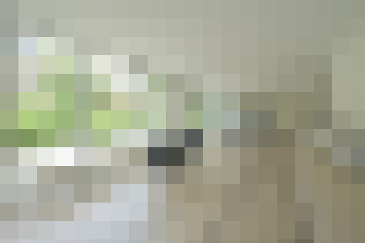 Image 28
